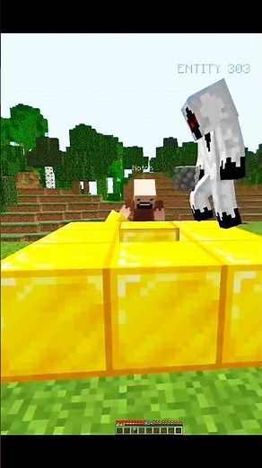 Minecraft, All Entity invented Robin || #1