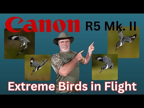 Canon R5 Mk. II - Auto Focus Performance Update for Extreme Birds in Flight