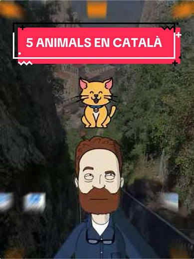 “Aguanta 1 minut i practiquem un 5 PARAULES EN CATALÀ 📚✨ Perfecte per preparar exàmens i millorar el teu català ràpid!” #CatalàB1 #ExamenCatalà #CatalàFàcil #CatalanPractice #CatalanLesson