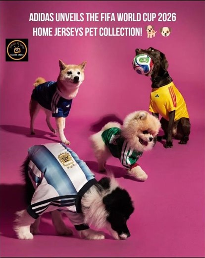 Adidas unveils the FIFA World Cup 2026 Home Jerseys Pet Collection! 🐕🐶 #fifawc #soccerworld #adidas
