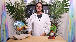 Why Coral Reefs Are Dying: Sunscreen Chemicals Are Killing Them | Sand Cloud