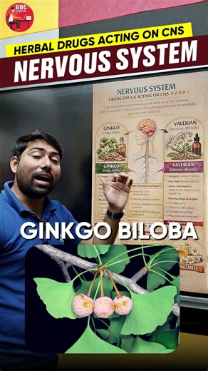 Herbal Drugs Acting on Nervous System in very simple way