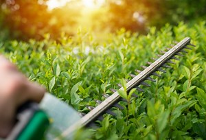 Best Hand-Held Shears to Perfect Your Projects