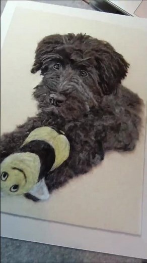 2D needle felted Schnauzer Dog Portrait finishing touches #Paintwithwool