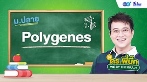 3.1K views · 21 reactions | สรุปพันธุศาสตร์ (Polygene)  by พี่บิ๊ก...