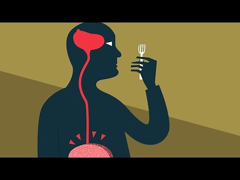 What Happens To Your Body When You’re Hungry