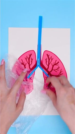 How Lungs Work 🫁✨ Learning made Easy for Kids #learning #kidsvideo