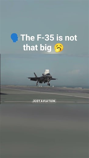 The real size of a F-35 #aviation#plane