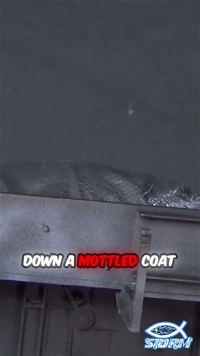 The Airbrush Trick That Adds Instant Realism!