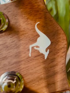 Maton Guitars on Reels