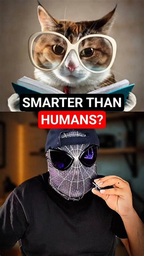 Most Smart Animals! 😱