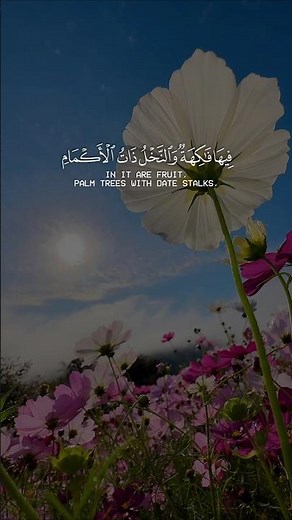 أحمد النفيس - سورة الرحمن - مقام اللامي الجميل 🩷