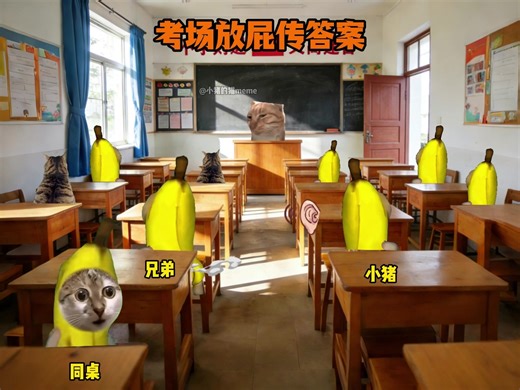 当学霸考试时给我传答案#猫meme | cat memes