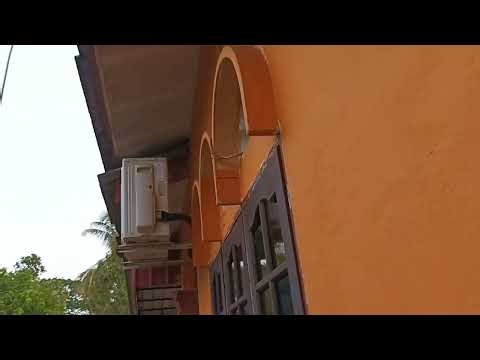 Astro Dish Wire for my tv at my room got pull by Monkey