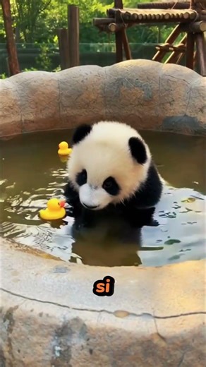 La Hija Cambió Cada Año… Pero El Papá Siguió Igual 😂🔥