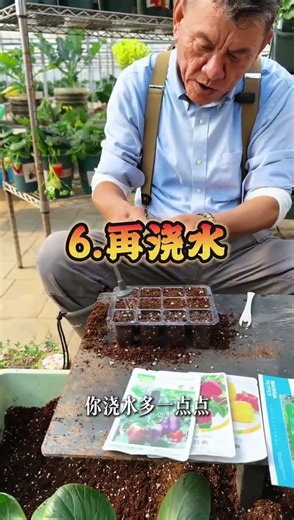 Grow Pepper Seedlings from Scratch - Step-by-Step Guide