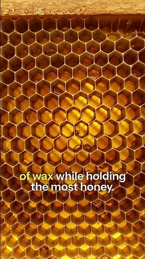 The Brilliant Geometry of Honeycomb Structures #honeycomb #hexagons #mathematics #efficiency #bees