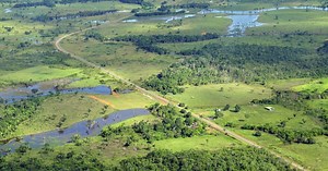 Deforestation and Land-Grabbing in the Amazon During COVID-19