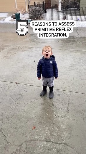 🧠 5 reasons why it’s important to assess primitive reflex integration: 1. identify potential root cause of challenges such as anxiety, low tone, or decreased attention. 2. identify compensatory positions during weight bearing. 3. observe praxis and auditory processing skills. 4. understand the why behind behavioral challenges. 5. improve higher level skills using a bottom up approach. Can anyone guess which reflex we can assess during the activity in this video?! ⤵️ #sensationalbrain #sensory #