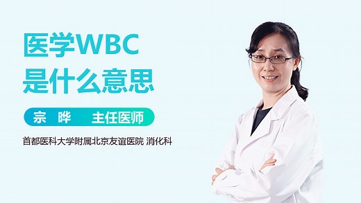 医学WBC是什么意思-有来医生