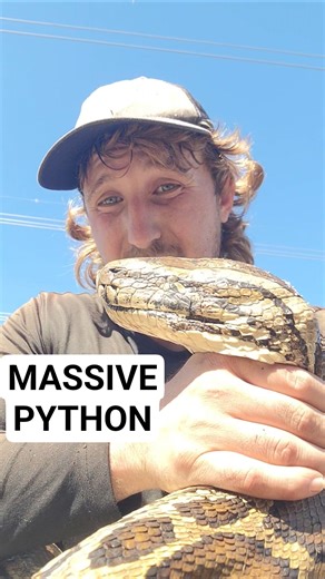 BEAST Of A Snake!! #snake #python #wildlife #nature #adventure #reptiles #herping #dangerous #foryou