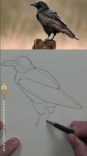 The constructive method: the only way to learn to draw in 3D