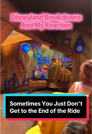 Disneyland Ride Breakdowns: A Look at the Attractions