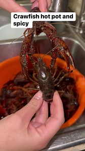 Crawfish hot pot and spicy #reels2023 #reelsfb #reelsinstagram #freshfood #crawfish #hotpot #foodhome | PINES PINOS