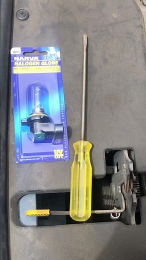 How To Change Your Headlight Globe #shorts #howto