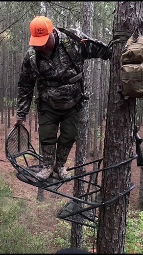 How the Convertible Climber works 20' up! #whitetailhunter #deerseason2023 #hunting #tvshow #huntingshow #deertiktok #treestand #climber #climberstands