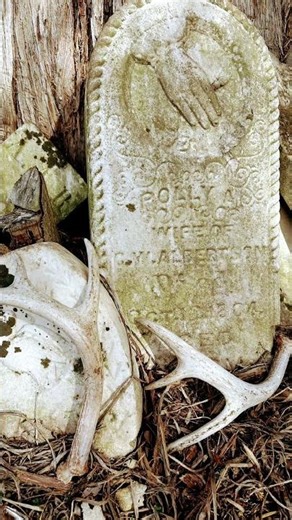 Sad Graveyard with large pine tree #music hanging tree, the hunger games ￼