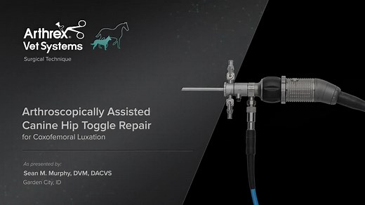Arthroscopically Assisted Canine Hip Toggle Repair