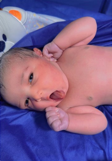 Chubby and Alert: A Baby's First Moments