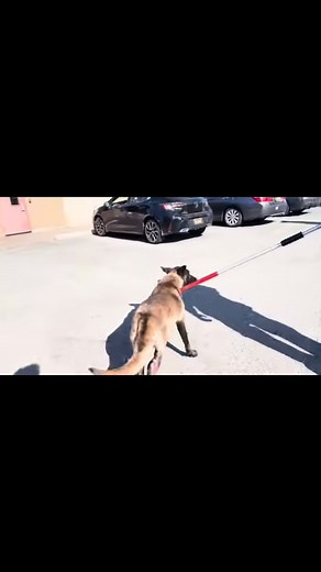 11 reactions | In an ideal world I’d get a couple requests a year to...