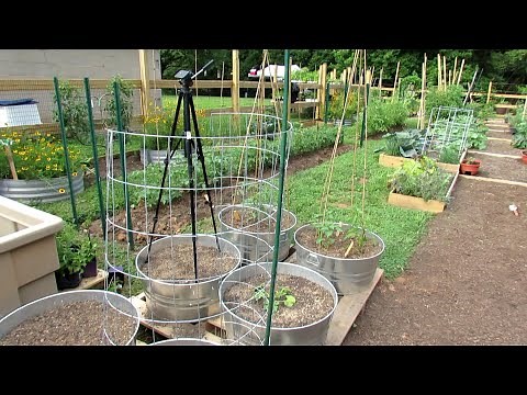 10 Trellising Options for Containers & Earth Beds: Tomatoes, Cucumbers, Squash, Melons & More!
