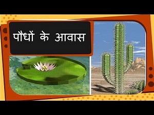 Science - Plant Habitat and adaptation - Hindi