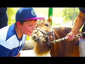 WHEN ZOO ANIMALS ATTACK!