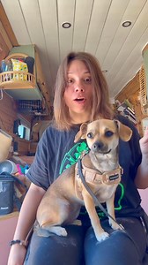 showering in our camper van in the middle of the desert 🏜️ #vanlife #fyp #desert #minivlog #minivlog #disability | Nicholette & Brian