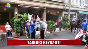 Haber Turu | Show Ana Haber