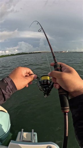 Best Braid for Saltwater Fishing