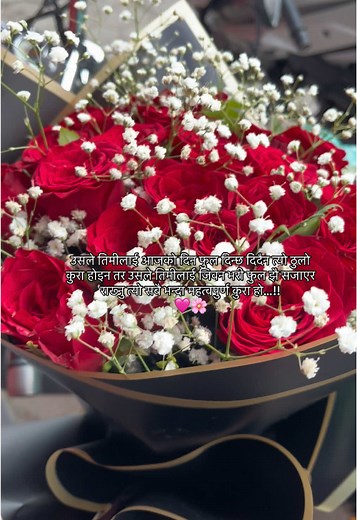 Celebrate Rose Day with Meaningful Gestures