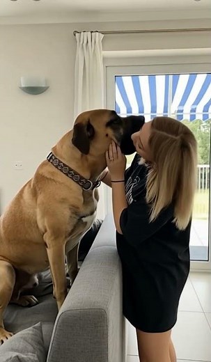 Unyielding Motherly Love: A Dog Mom Shields Her Puppies from Harm🐕🐕 #dog #golden #funny