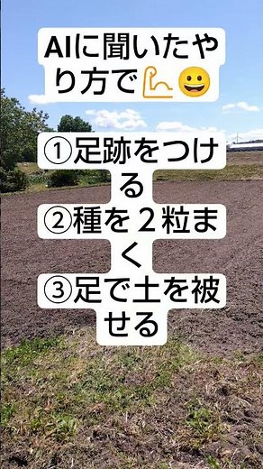 村人みんなで挑戦！1770アールの巨大ひまわり畑づくり🌻AIに教わった種まき方法とは？