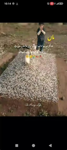 inosad girl ❤️👀 (@abidmaster7)’s videos with original sound - inosad girl ❤️👀