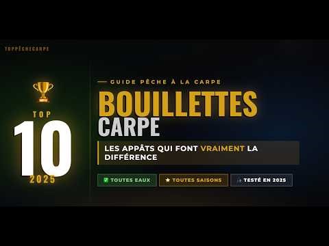 TOP 10 BOUILLETTES CARPE 2026 — Celle que tu utilises est sûrement mauvaise