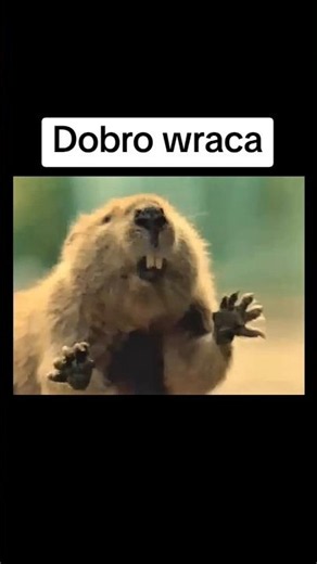 Dobro wraca #dobro #karma #motywacja #opony #bridgestone