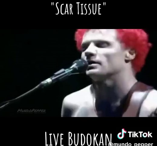 Red Hot Chili Peppers - Live Performance of Scar Tissue