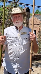 Stake your tomatoes with the Florida weave method, demonstrated by LSU AgCenter horticulture agent Joe Willis. #Tomatoes #Garden #HowTo #Reels #Horticulture | LSU AgCenter