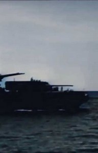 Typhoon Cobra, also known as the Typhoon of 1944 or Halsey's Typhoon (named after Admiral William 'Bull' Halsey), was the United States Navy designation for a powerful tropical cyclone that struck the United States Pacific Fleet in December 1944, during World War II. The storm sank three destroyers, killed 790 sailors, damaged nine other warships and swept dozens of aircraft overboard off their aircraft carriers. Task Force 38 (TF 38) had been operating about 300 mi (260 nmi; 480 km) east of Luz