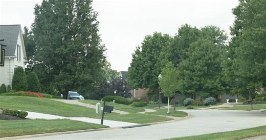 Prospect homeowner fires shot at masked intruders during break-in